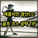 광산 친환경대중골프장 | 에콜리안 광산CC 골프 코스 공략 TIP