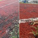 은혜주유소 이미지