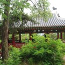 전계심의 묘비 이미지