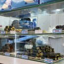 중앙로5길 | [여수맛집] 구봉만두 바다김밥 로타리분식 포장 꿀조합 후기｜여수 먹거리 추천