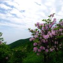 2015/05/19 (화) 정기산행 소백산 비로봉~국망봉 철쭉산행 이미지