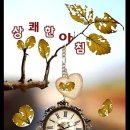 화가의정원