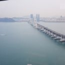 앵그리바디짐 이미지