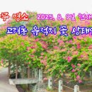 고려동유적지 이미지