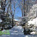 수미민박 이미지