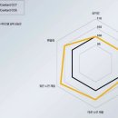 새로나타이어