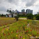 연풍1리 이미지