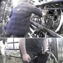 메르시농장 이미지