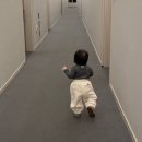 엘프세탁 | 꼬숑 | 15개월 아기 삿포로 바라클라바 • 마시 멜로우팬츠 우먼 • 엘프점퍼 착샷 후기🤍