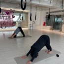국수나무 구영점 | 울산 구영리 요가 듀엣 레슨 친구랑 함께한 필라테스 & 번지 운동