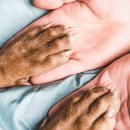 한결같은 동물병원 이미지