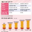 팝(POP)뷰티