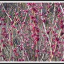 봉서2리 이미지