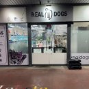 리얼독스 강아지분양 일산본점 이미지