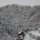 숲속의하얀집 이미지