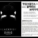 가자피쉬 이미지