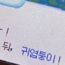 꽃나날 네이버블로그