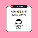 김해사랑병원 | 내가 임신이라니! 6주차 증상 및 김해 더 프라임 병원 후기