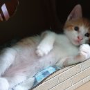 (주)알켐바이오 이미지