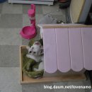 키키하우스 이미지