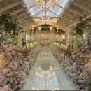 장안웃길 이미지