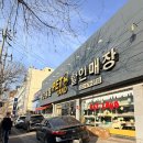 나들가게 OK할인마트 | 대형견 강아지 유모차 피카고 크로스웨건, 킹앤퀸 펫랜드에서 시승해본 리얼 후기