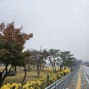 칠금2길 이미지