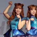 코코언니 이미지