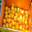 원대농장 이미지