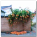 꽃이있는집 - 서구 하남대로 704 | 꽃이있는집