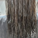 머리까끼 이미지