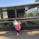 금진농장 이미지