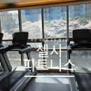 파워줌바 피트니스(오전) | 부산 시청 헬스장 첼시피트니스:오전 줌바 수업부터 야간 웨이트까지 완벽 가이드