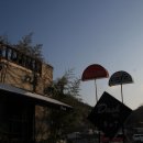 별스런 산책 이미지