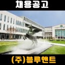 (주)블루앤트 이미지