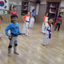 용인대현대태권도 네이버블로그
