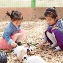 작은동물원 이미지