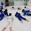 MJ유도관 이미지