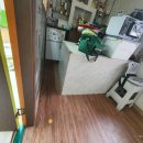 창신태권도 이미지