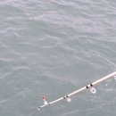 등나무집민박 이미지