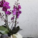 보자기아트