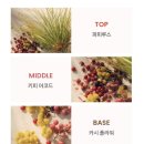 끌로에 신상 향수 노마드 쟈뎅 디이집트 네이버 스토어 선출시