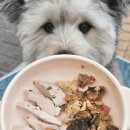 위닝푸드 이미지