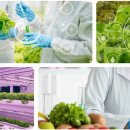 케이에스팜(주) 이미지