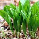 전주양가 양갈비전문점 이미지