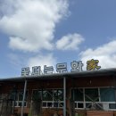 꽃피는 담석정 | 신안 여행] 당일치기 완벽 코스! 앞해도식당 → 꽃피는무화가 → 카페석산 → 목포스카이워크까지 솔직...
