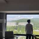 세영자연산활어회 | 경주 탐방 1편🤠 : 포항경주공항 근처 물회, 경주 힐튼호텔 후기, 진가네대구갈비