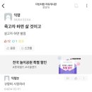 오늘자 중앙대 안성캠 논란 이미지