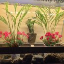 양덕동271 | 포항마사지 웰빙케어 24시라 늦은 시간에도 편하게 다녀온 후기