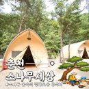 계곡펜션 | [춘천] 춘천 글램핑 추천! 계곡 옆 감성 숙소 '소나무세상'에서 즐긴 춘천 가족여행 후기